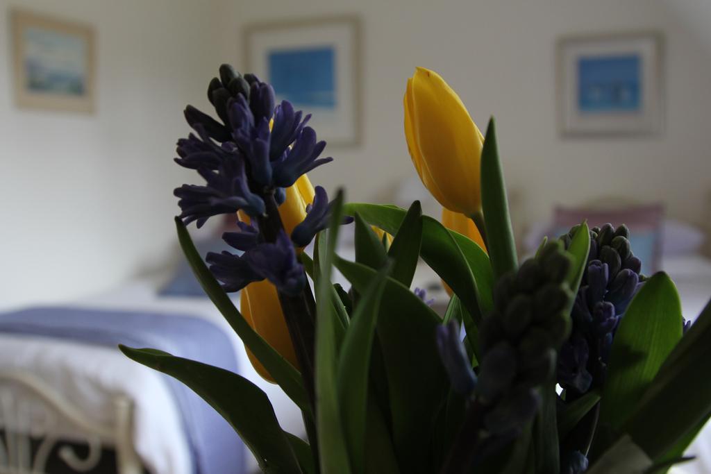 Sunny Cottage Maidenhead Rom bilde